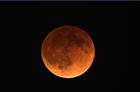 eclipse041514-10b.jpg