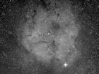 ic1396qhy8ha102008.jpg