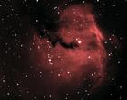 ic2177-24x8color.jpg