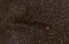 ic5146qhy8hs082309.jpg