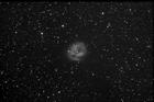 ic5146stl11kvc200lf9ha16x10oct1809.jpg
