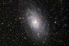 m33lha+rgbnp101st10xme.jpg