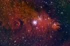 ngc2264hasiioiii011108.jpg