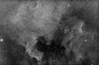 ngc7000haqhy8hyperstar8x10min070209.jpg